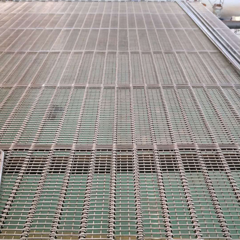 眼鏡網帶